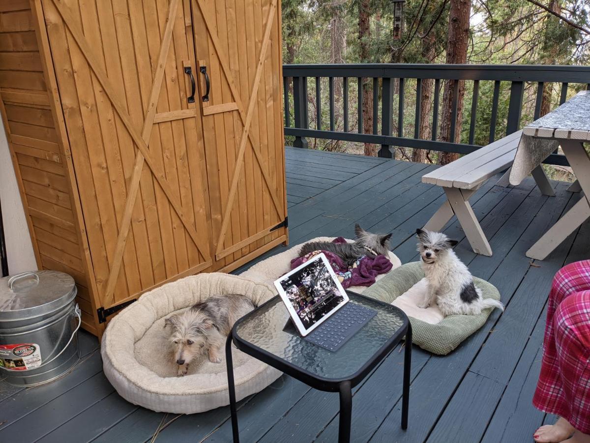 Breckenridge Chalet Near Yosemite. Dog Friendly! Groveland Dış mekan fotoğraf